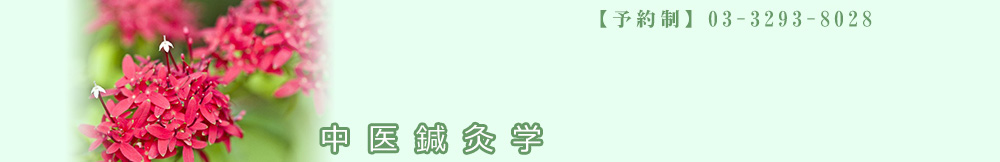 中医鍼灸学とは