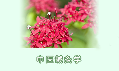 中医鍼灸学とは
