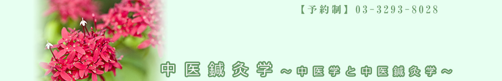 中医鍼灸学～中医学と中医鍼灸学