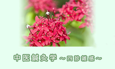 中医鍼灸学～四診雑感4～